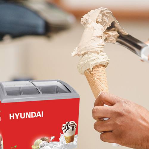 Hyundai Chest Freezer in Nepal